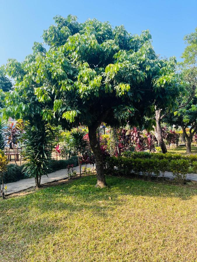 Paradise Mount Resort โพคารา ภายนอก รูปภาพ